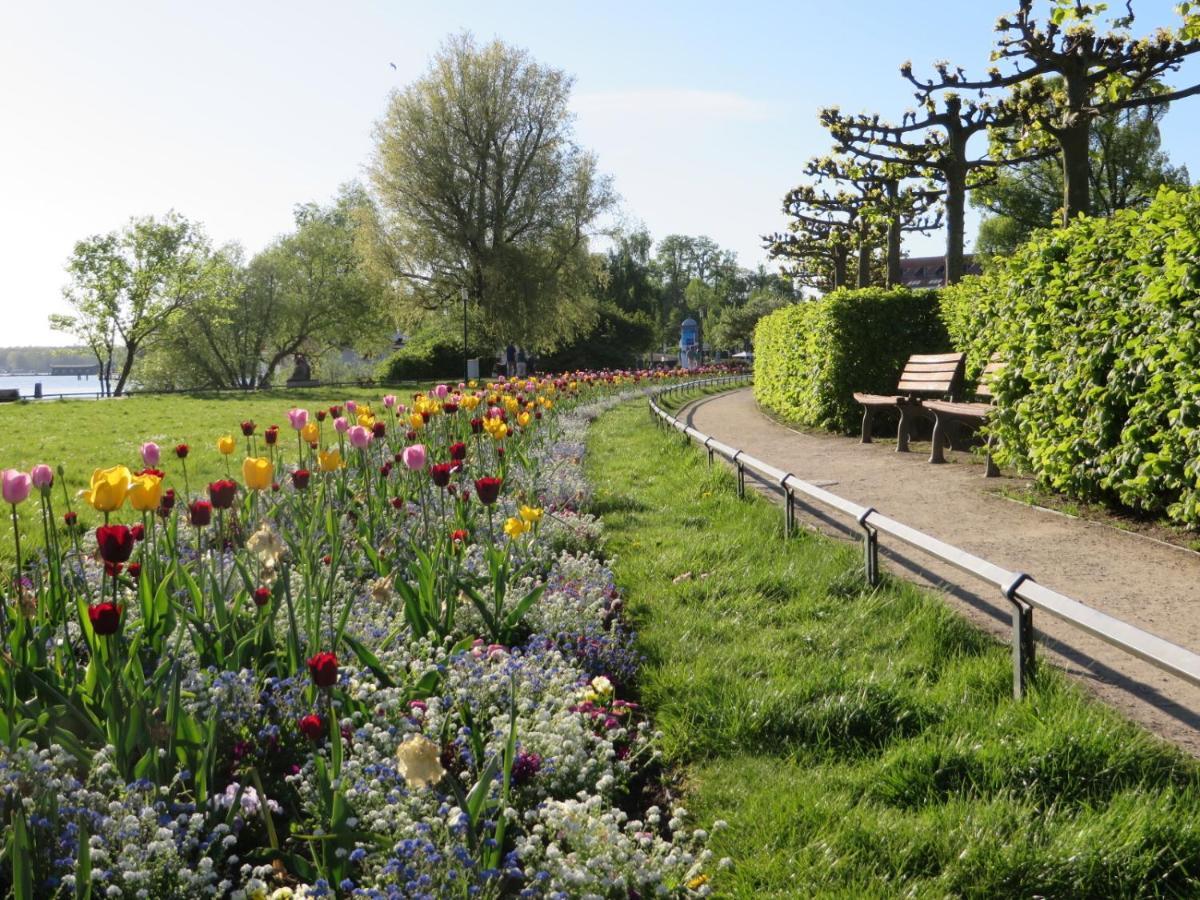 Ferienwohnungen "Marie" Mit Terrassen, Inclusive Park- Und Stellplaetze Am Haus, Mueritz-Strand Nur 700M, Altstadt 10Min, Ruhige Lage, Waren  Kültér fotó