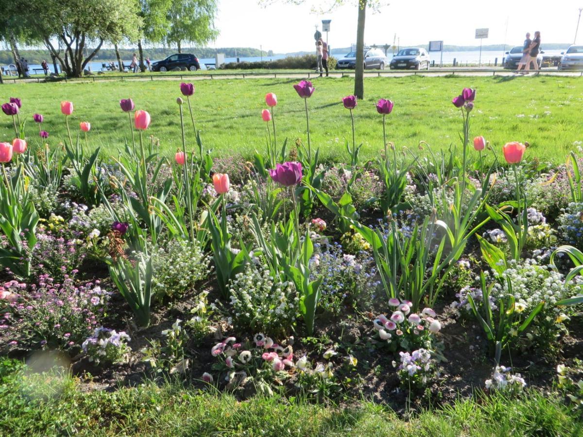 Ferienwohnungen "Marie" Mit Terrassen, Inclusive Park- Und Stellplaetze Am Haus, Mueritz-Strand Nur 700M, Altstadt 10Min, Ruhige Lage, Waren  Kültér fotó